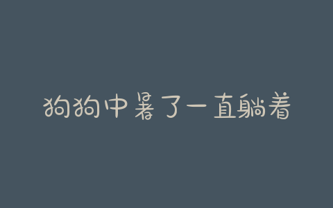 狗狗中暑了一直躺着怎么办(狗狗快中暑了怎么办)-警犬训练器材厂家 _警犬训练用品_工作犬训练用品-南京开久警犬装备