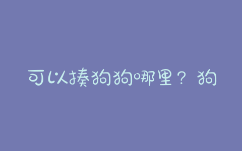 可以揍狗狗哪里?狗狗哪里不能打 - 警犬训练器材厂家 _警犬训练用品_工作犬训练用品-南京开久警犬装备-警犬训练器材厂家 _警犬训练用品_工作犬训练用品-南京开久警犬装备