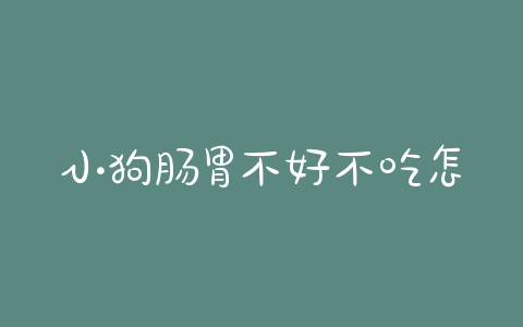 小狗肠胃不好不吃怎么办(小狗肠胃不好吃点什么食物) - 警犬训练器材厂家 _警犬训练用品_工作犬训练用品-南京开久警犬装备-警犬训练器材厂家 _警犬训练用品_工作犬训练用品-南京开久警犬装备
