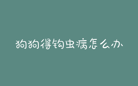 狗狗得钩虫病怎么办？狗狗钩虫病会传染人吗-警犬训练器材厂家 _警犬训练用品_工作犬训练用品-南京开久警犬装备