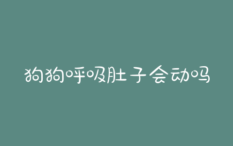 狗狗呼吸肚子会动吗(狗狗肚子呼吸很快)-警犬训练器材厂家 _警犬训练用品_工作犬训练用品-南京开久警犬装备