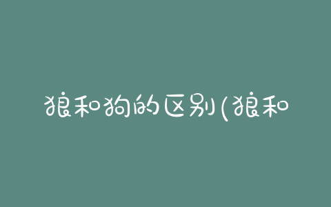 狼和狗的区别(狼和狗的区别说说)-警犬训练器材厂家 _警犬训练用品_工作犬训练用品-南京开久警犬装备