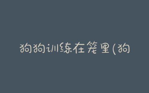 狗狗训练在笼里(狗狗入笼训练) - 警犬训练器材厂家 _警犬训练用品_工作犬训练用品-南京开久警犬装备-警犬训练器材厂家 _警犬训练用品_工作犬训练用品-南京开久警犬装备