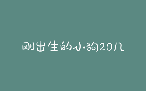 刚出生的小狗20几天死亡(刚出生小狗几天会走路)-警犬训练器材厂家 _警犬训练用品_工作犬训练用品-南京开久警犬装备