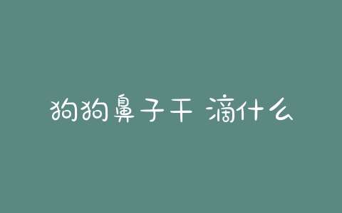 狗狗鼻子干 滴什么好(狗狗鼻子干了,说明什么问题)-警犬训练器材厂家 _警犬训练用品_工作犬训练用品-南京开久警犬装备