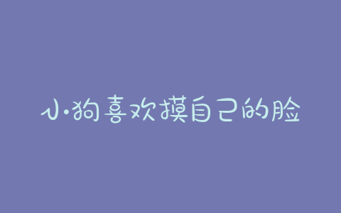 小狗喜欢摸自己的脸 小狗喜欢摸肚子-警犬训练器材厂家 _警犬训练用品_工作犬训练用品-南京开久警犬装备