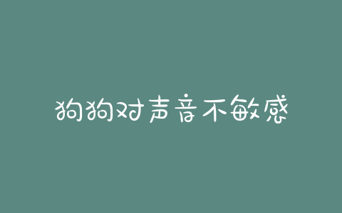 狗狗对声音不敏感-警犬训练器材厂家 _警犬训练用品_工作犬训练用品-南京开久警犬装备