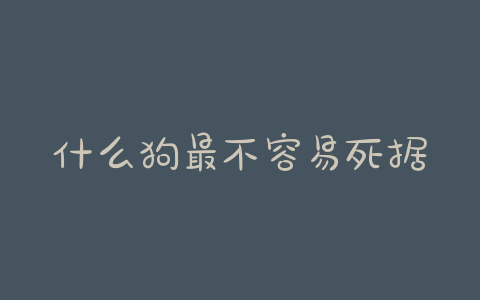 什么狗最不容易死据英国标准狗分为6大类-警犬训练器材厂家 _警犬训练用品_工作犬训练用品-南京开久警犬装备