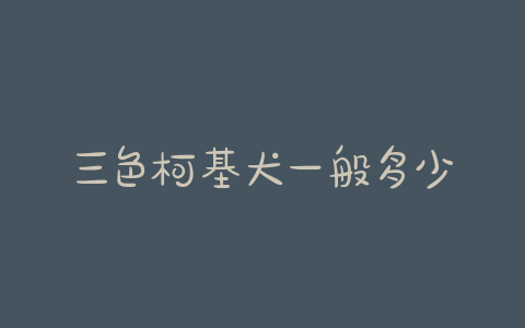 三色柯基犬一般多少钱(上海柯基犬多少钱一只)-警犬训练器材厂家 _警犬训练用品_工作犬训练用品-南京开久警犬装备