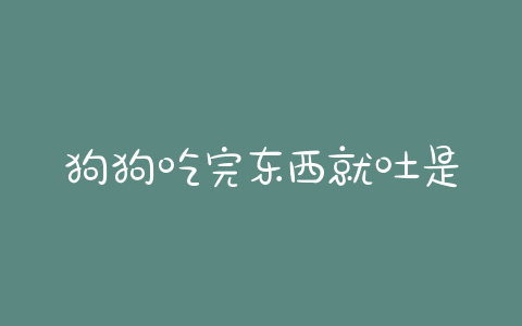 狗狗吃完东西就吐是怎么回事-警犬训练器材厂家 _警犬训练用品_工作犬训练用品-南京开久警犬装备
