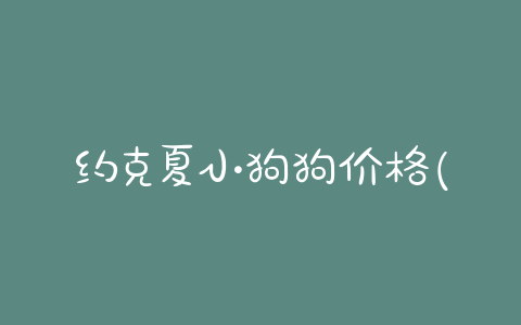 约克夏小狗狗价格(约克夏标体价格)-警犬训练器材厂家 _警犬训练用品_工作犬训练用品-南京开久警犬装备