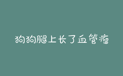 狗狗腿上长了血管瘤(狗狗血管瘤会死吗)-警犬训练器材厂家 _警犬训练用品_工作犬训练用品-南京开久警犬装备