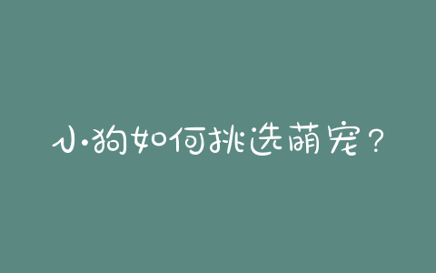 小狗如何挑选萌宠?如何挑选小狗崽-警犬训练器材厂家 _警犬训练用品_工作犬训练用品-南京开久警犬装备