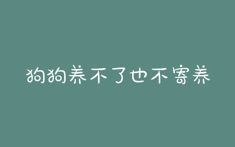 狗狗养不了也不寄养 - 警犬训练器材厂家 _警犬训练用品_工作犬训练用品-南京开久警犬装备-警犬训练器材厂家 _警犬训练用品_工作犬训练用品-南京开久警犬装备