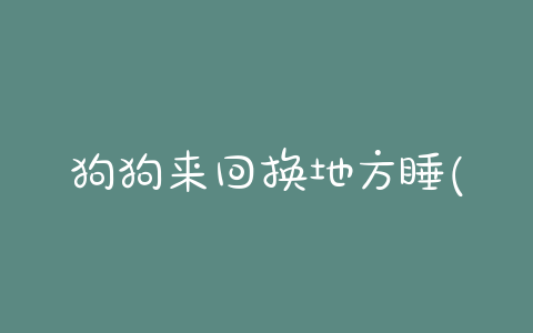 狗狗来回换地方睡(狗狗睡一会换一个地方)-警犬训练器材厂家 _警犬训练用品_工作犬训练用品-南京开久警犬装备