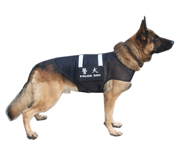 1667546836773174 1667546836773174