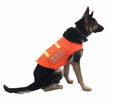 1667793869849307 1667793869849307