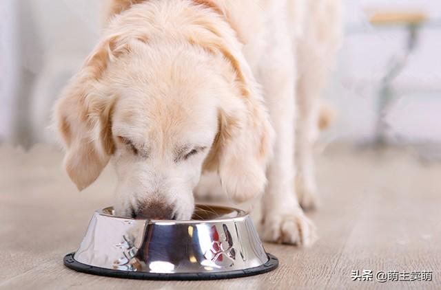 20220421043707165048702765928