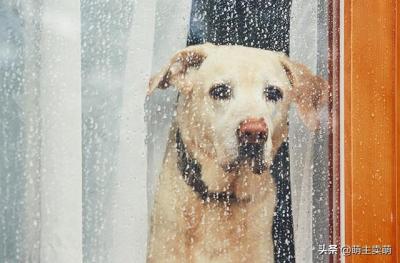 20220421043709165048702921827