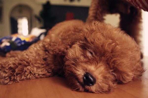 20220421044429165048746998366