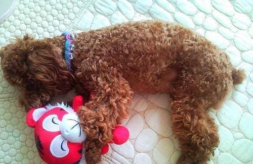 20220421044431165048747191199