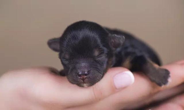 20220421045304165048798431198