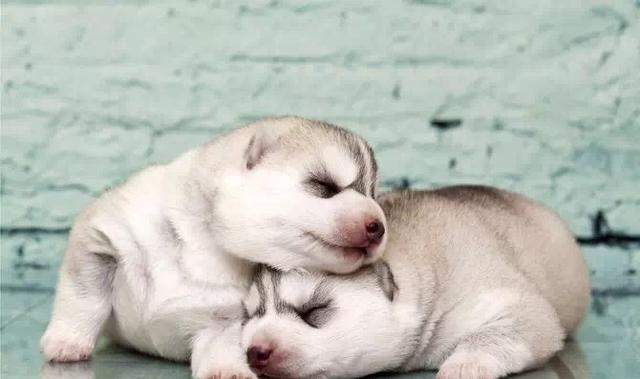 20220421045306165048798633752