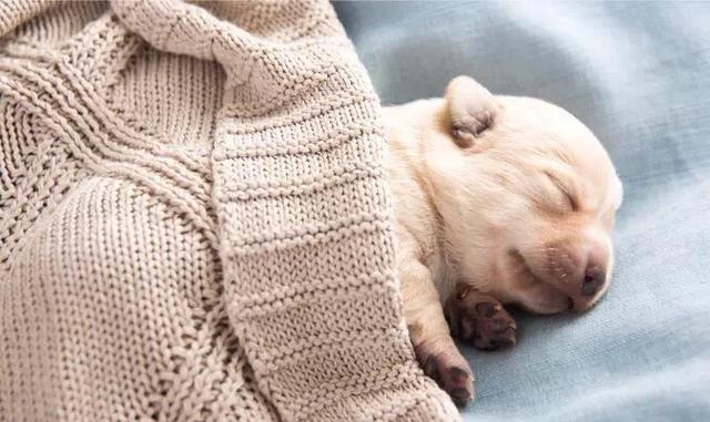 20220421045307165048798768393