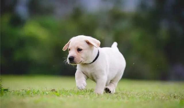 20220421045311165048799144241