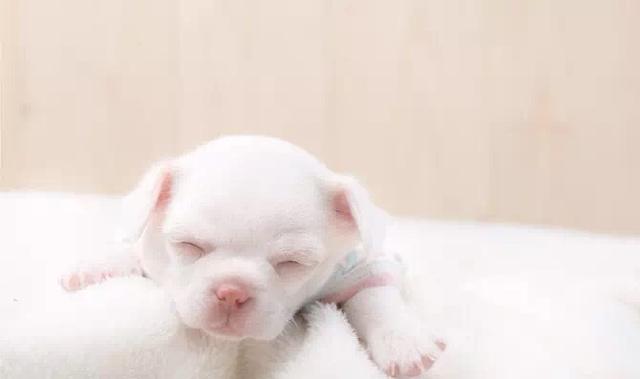 20220421045311165048799195999