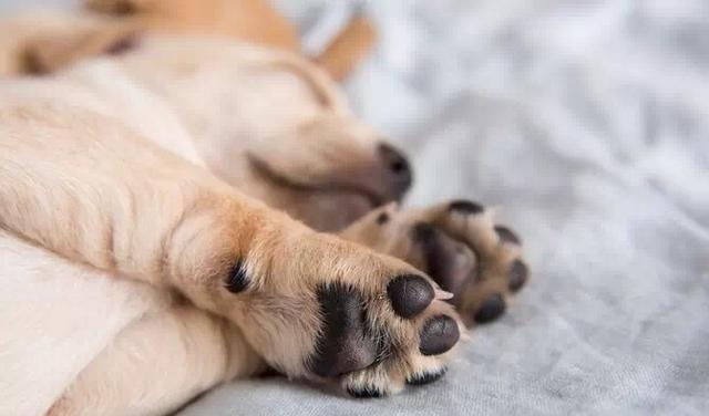 20220421045312165048799230480