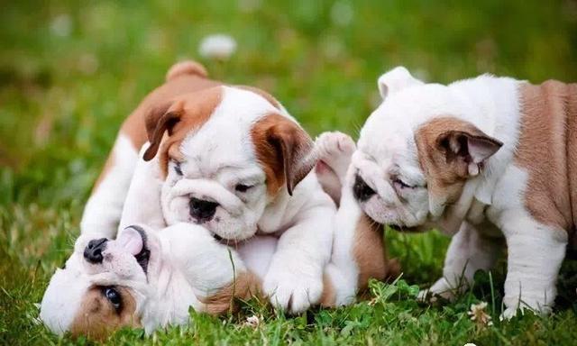 20220421045314165048799420120