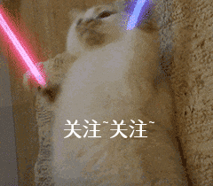 刚买两个月小狗能洗澡吗(刚抱回来两个月的小狗)-警犬训练器材厂家 _警犬训练用品_工作犬训练用品-南京开久警犬装备