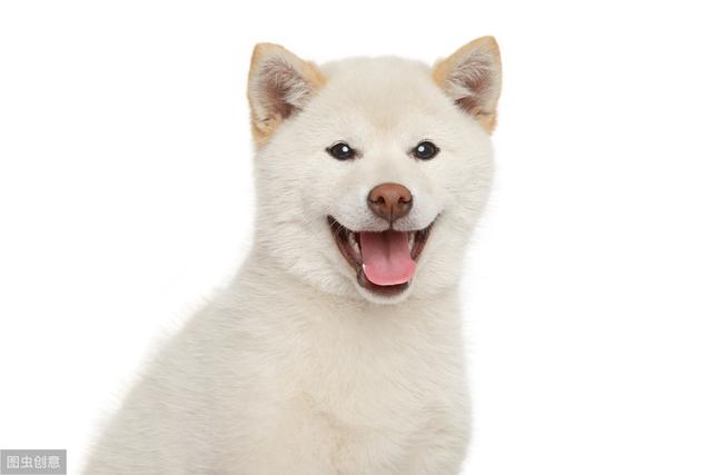 20220421045754165048827436778