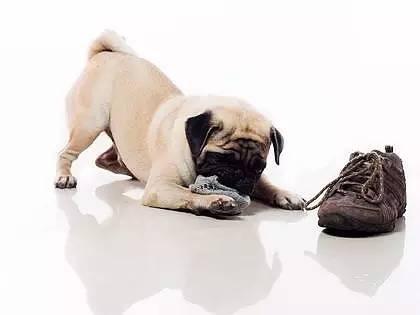 20220421045755165048827529440