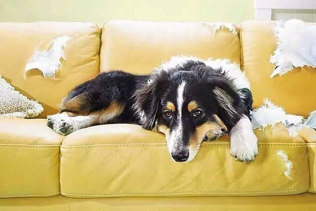 20220421045756165048827627073