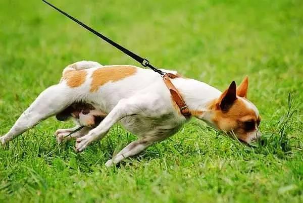 20220421045759165048827930075