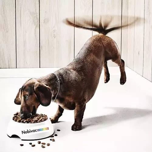 20220421045800165048828093534