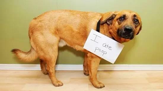 20220421045800165048828096691