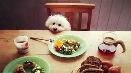 20220421045801165048828145055