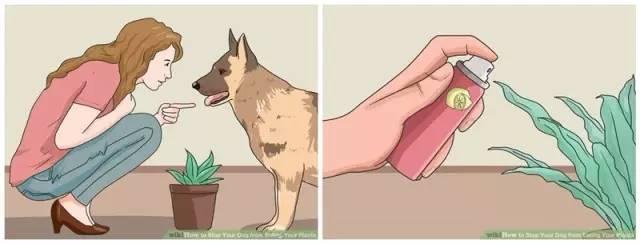 20220421045803165048828364985