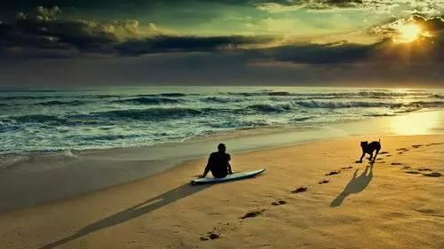 20220421045805165048828584698