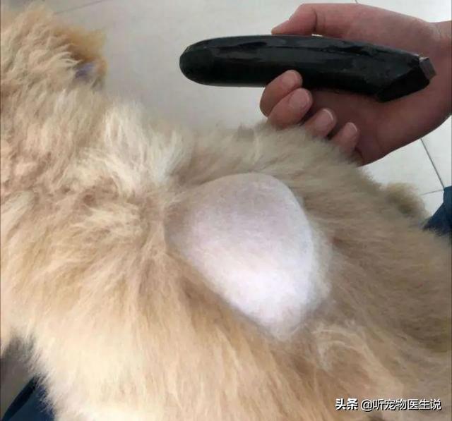 20220421045831165048831177932 20220421045831165048831177932