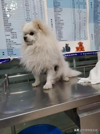 20220421045832165048831229810 20220421045832165048831229810