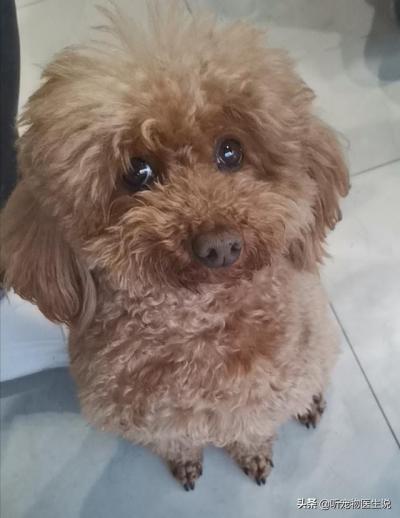 20220421045832165048831257772 20220421045832165048831257772