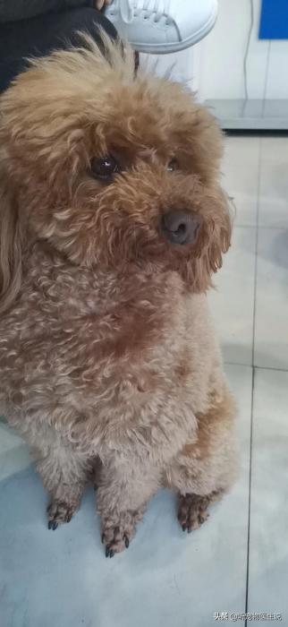 20220421045832165048831267421 20220421045832165048831267421