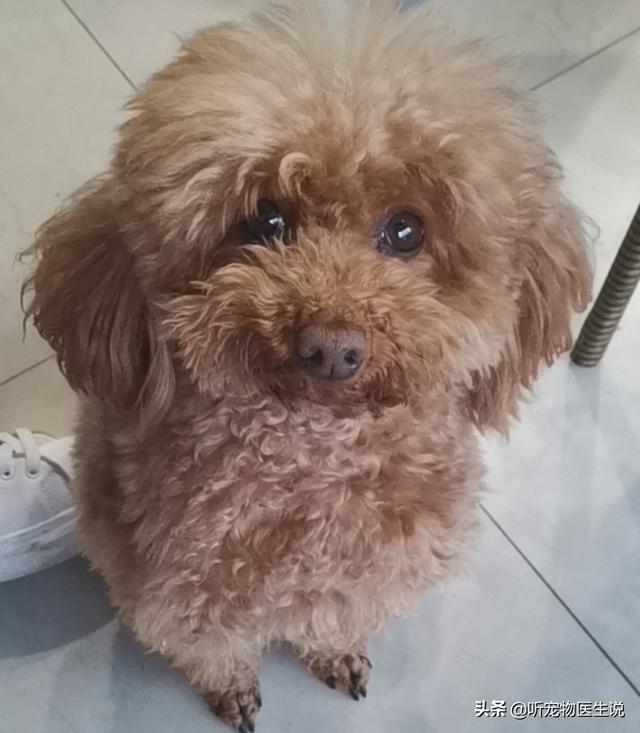 20220421045833165048831374056 20220421045833165048831374056