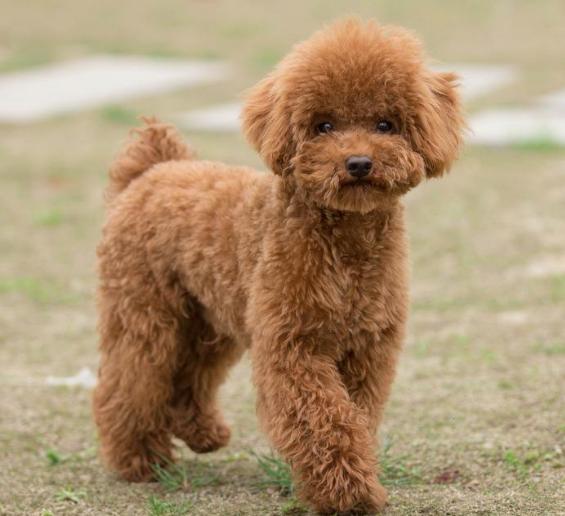 20220421050556165048875612634