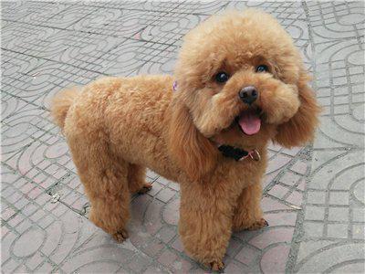 20220421050556165048875622220