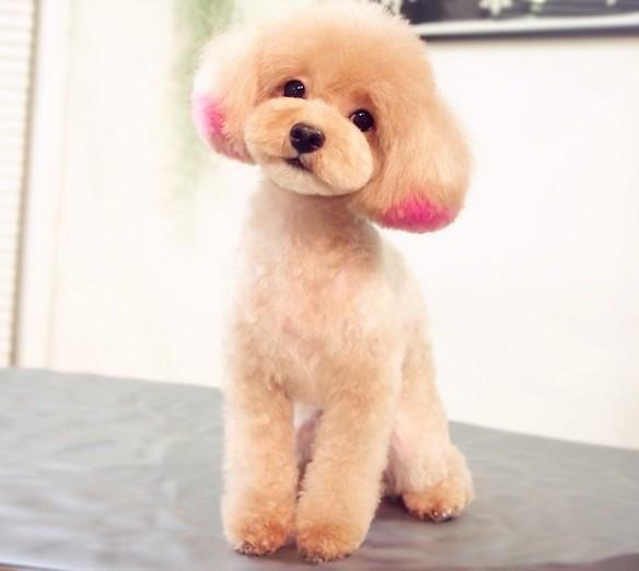 20220421050556165048875634984